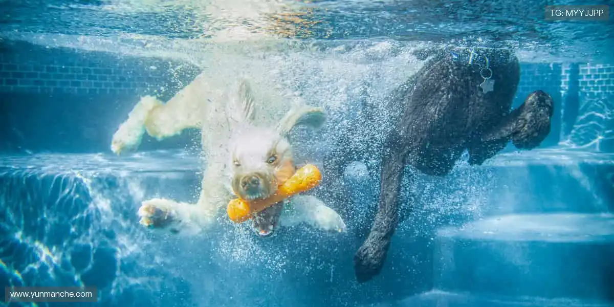 📱实时弹幕，全球球迷在线狂欢！💬